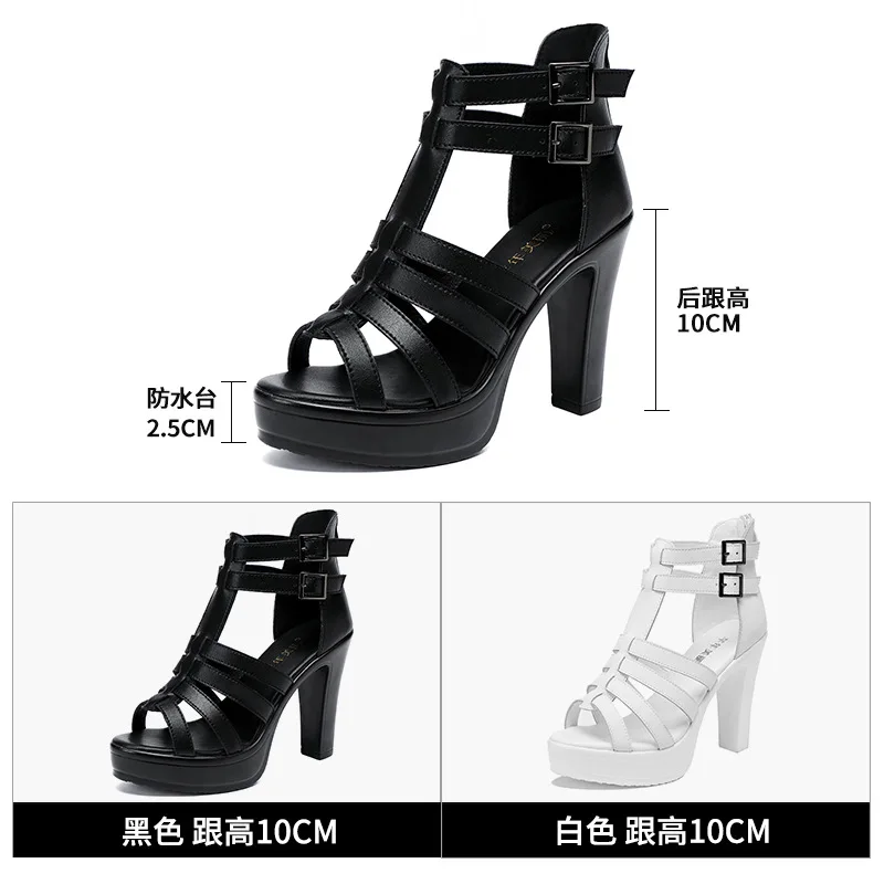 Gladiator Ladies Shoe for Wome - Peep Toe Heels avis et prix